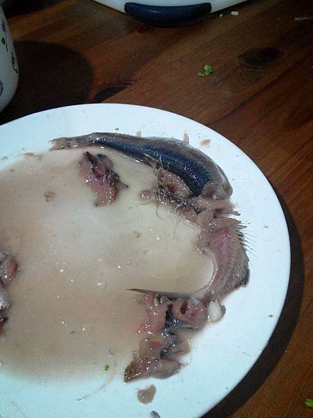 2015-6-9 臭魚 15 2015-6-9 臭魚 15