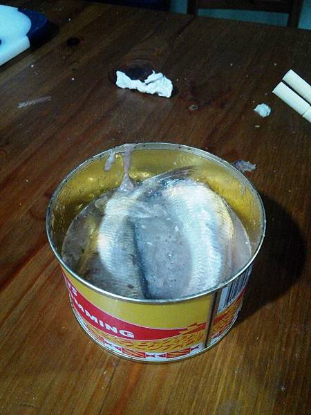 2015-6-9 臭魚 16 2015-6-9 臭魚 16