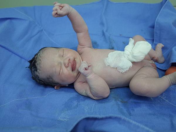 2016-0917 01 2016-0917 01