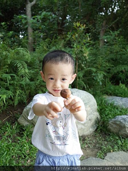 2017-0609 科博植物館09