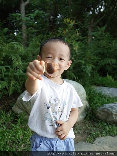 2017-0609 科博植物館07