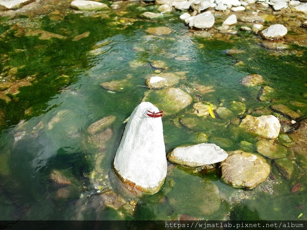 砂婆噹溪畔公園07.JPG