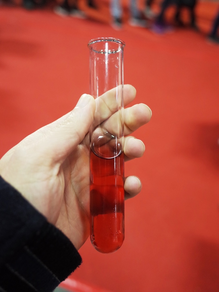 SHL 201907.JPG SHL 201907.JPG