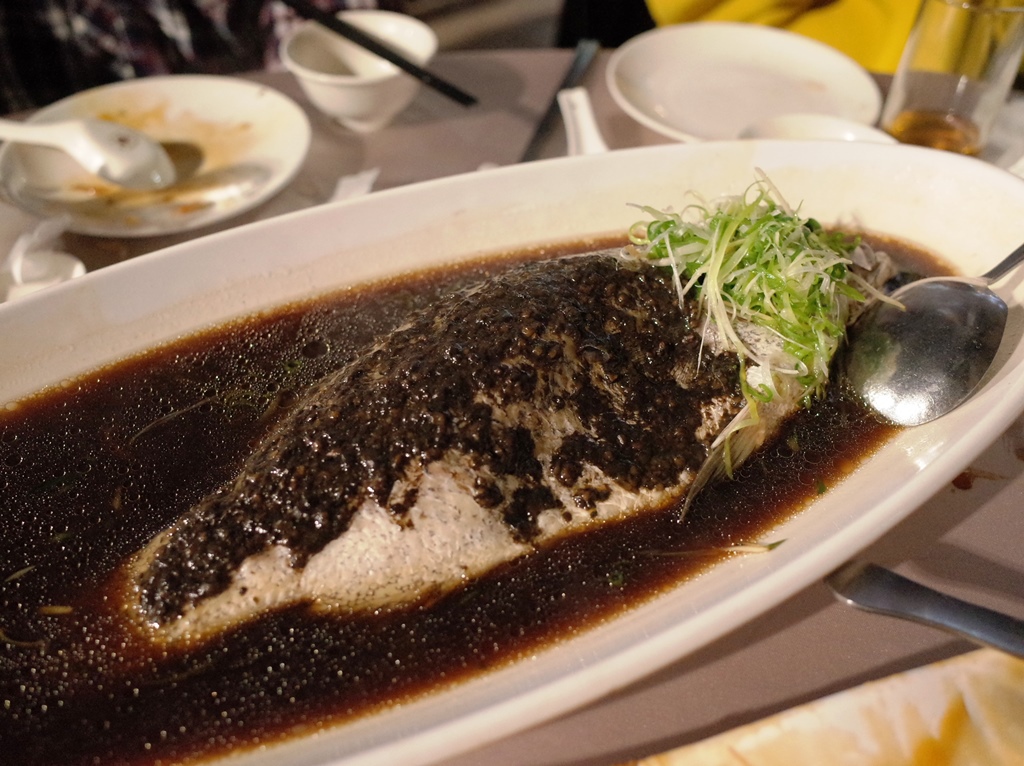 SHL 201921.JPG SHL 201921.JPG