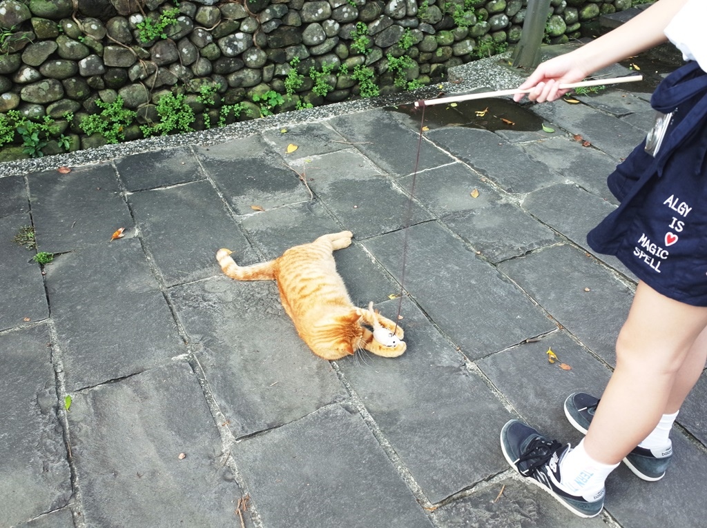 2019-0404 猴硐15.JPG