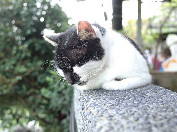 2019-0404 猴硐24.JPG