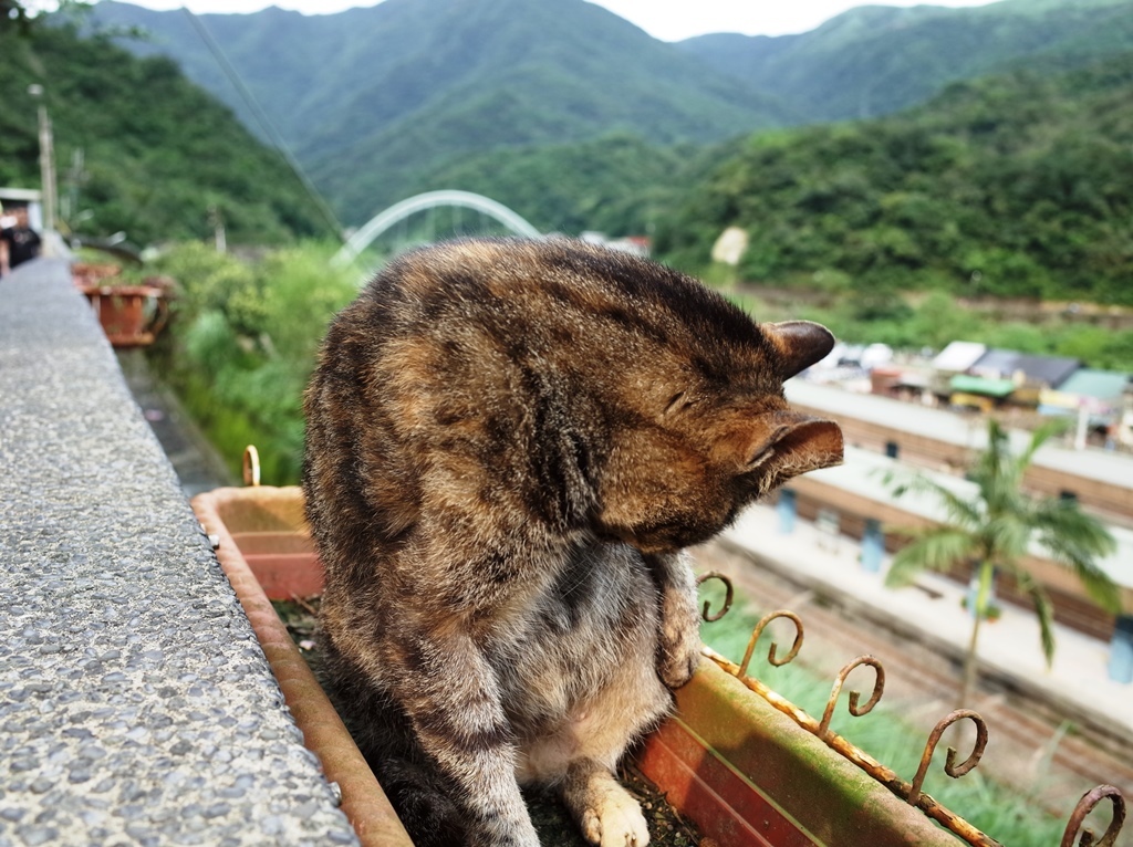 2019-0404 猴硐27.JPG