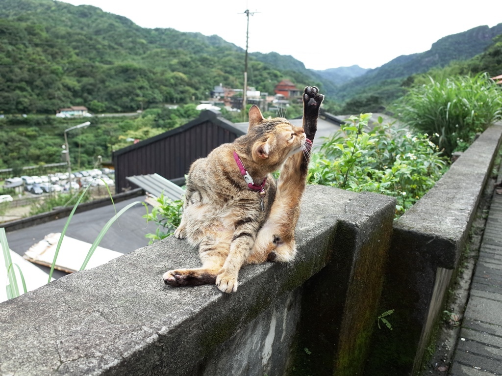 2019-0404 猴硐26.JPG