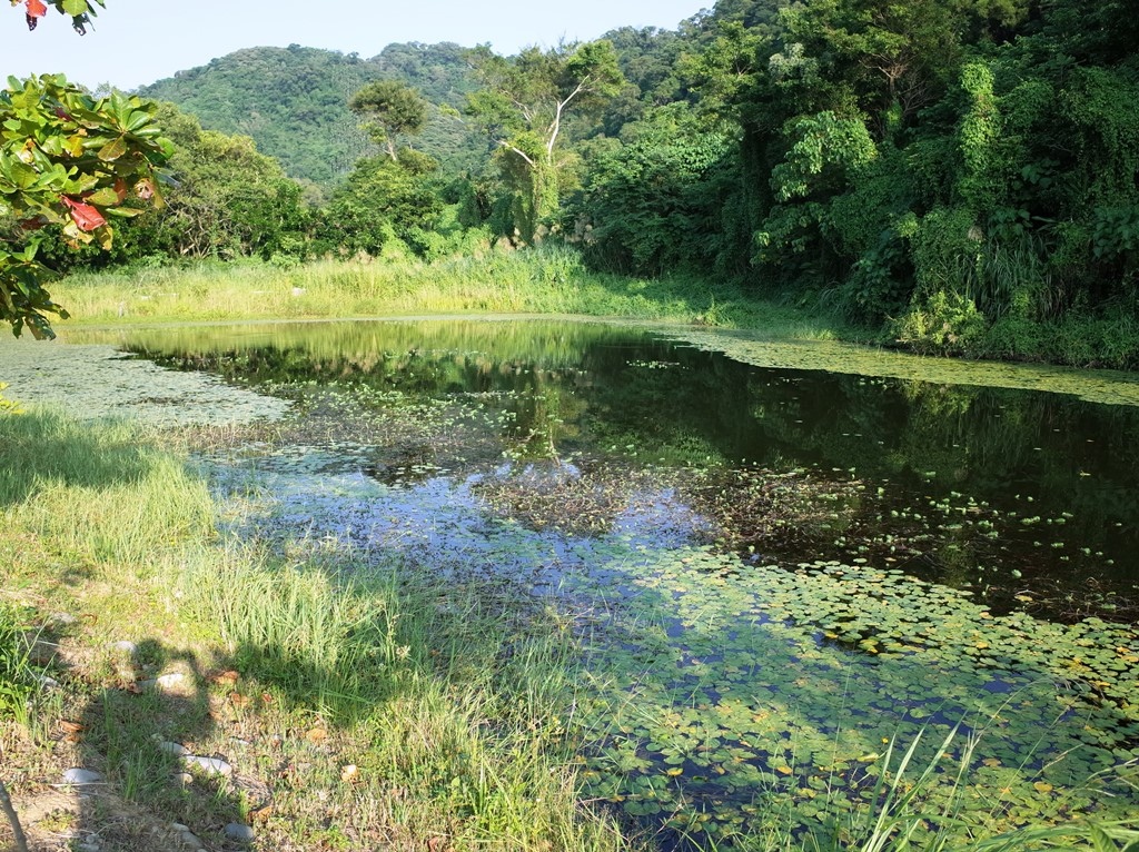 2019-1010 桃園大溪山豬湖03.JPG