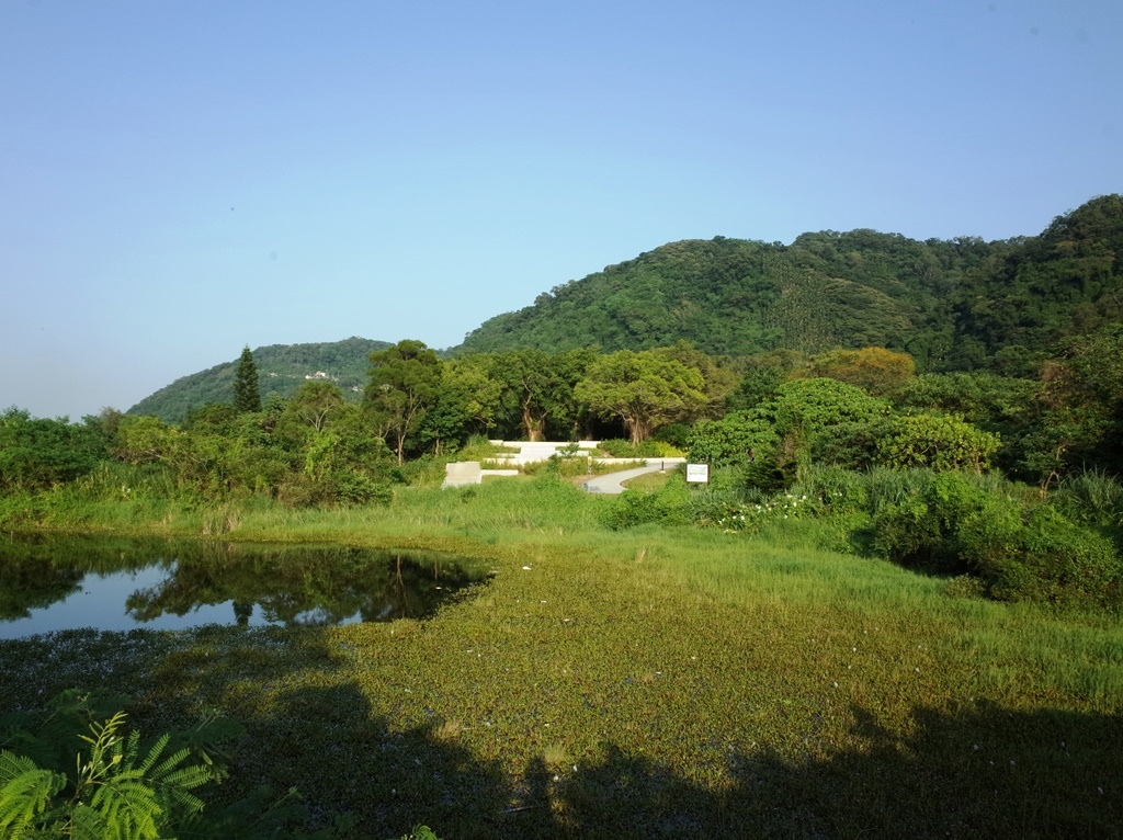 2019-1010 桃園大溪山豬湖08.JPG