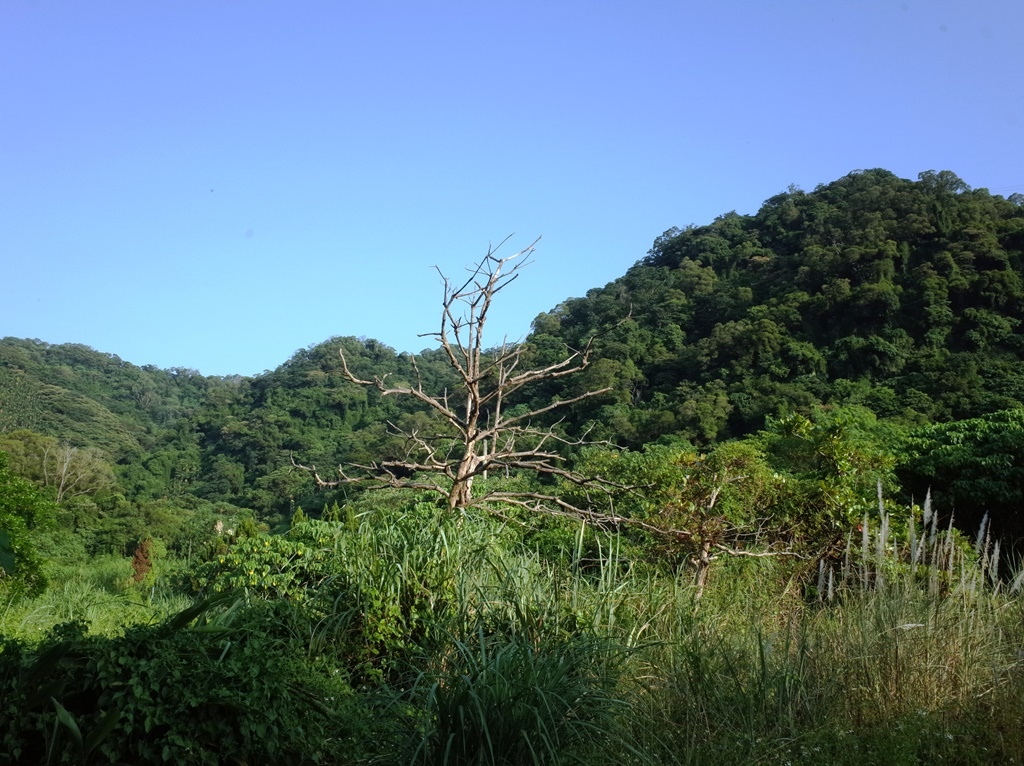 2019-1010 桃園大溪山豬湖07.JPG