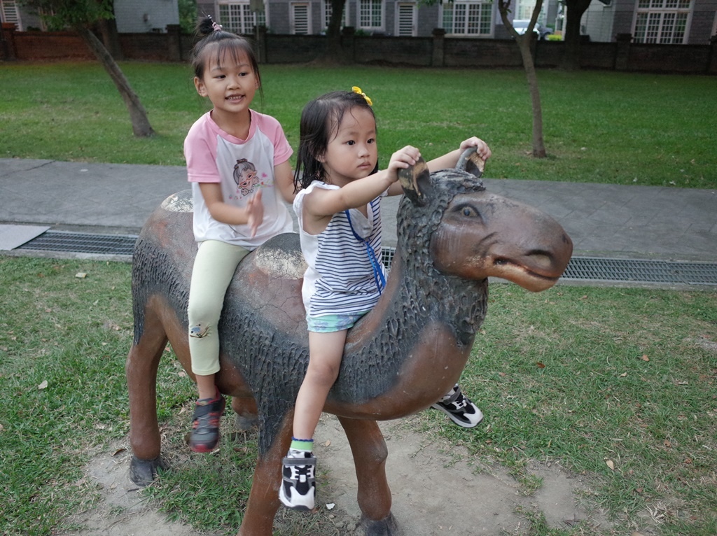 大溪埔頂公園12.JPG