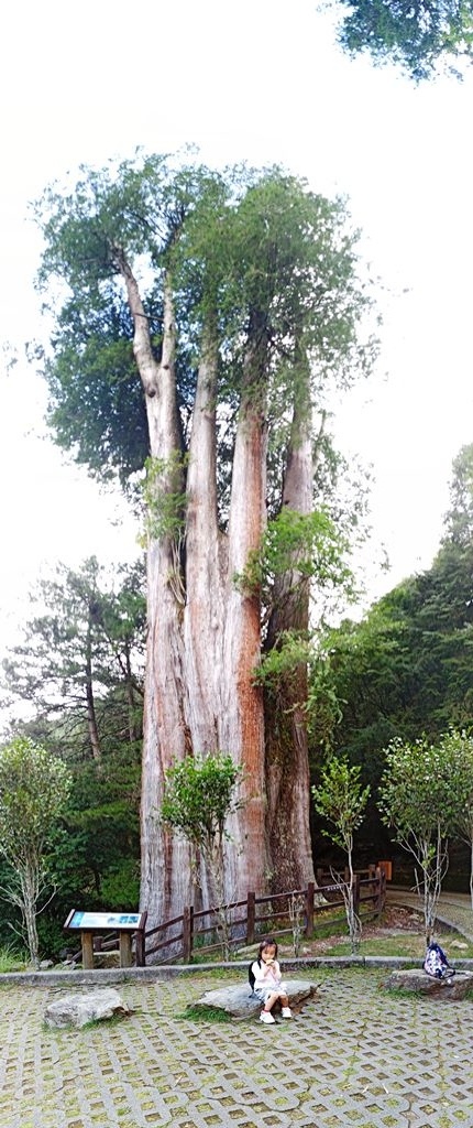 大雪山 20091821.jpg 大雪山 20091821.jpg