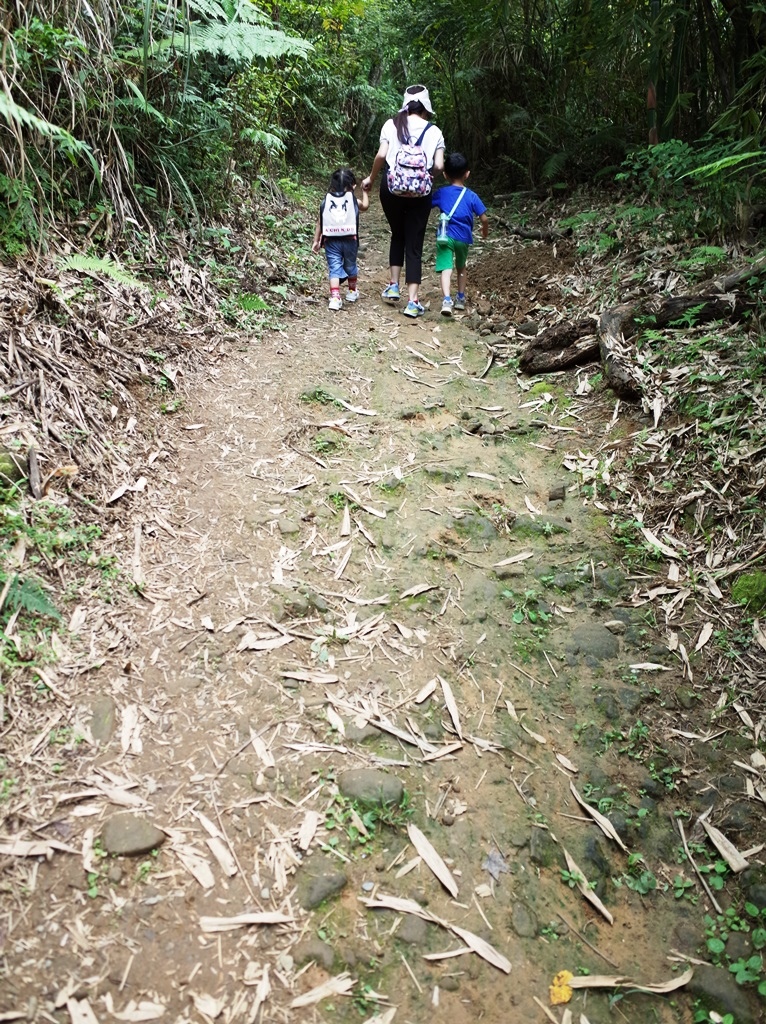 2020-1003 五指山 一線天19.JPG