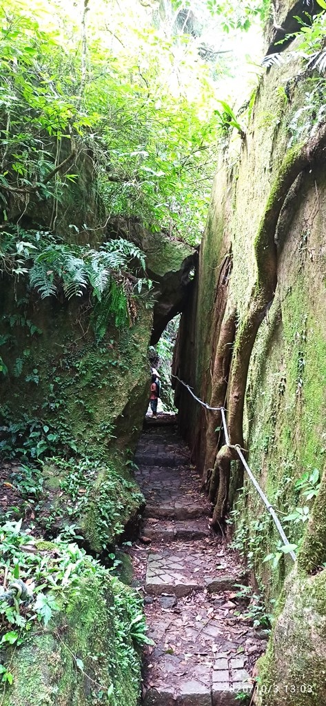 2020-1003 五指山 一線天03.jpg