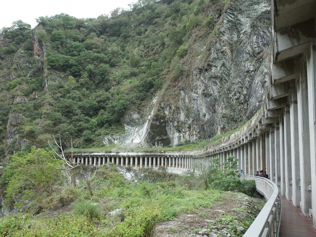 2020-1017 白楊步道05.JPG