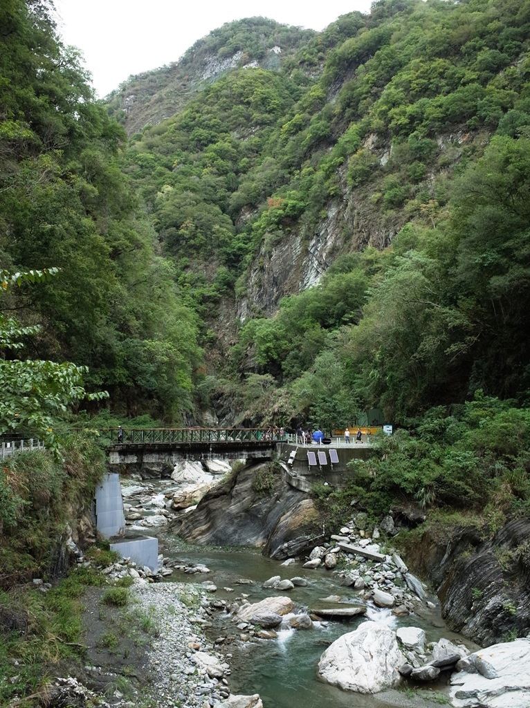 2020-1017 白楊步道06.JPG