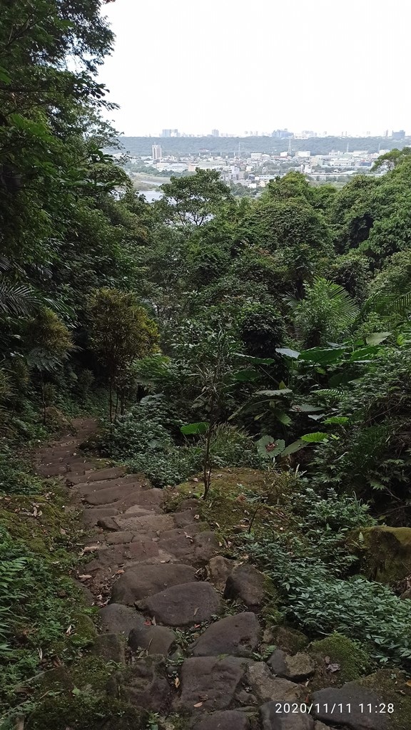 2020-1111 三峽鳶山 彩壁05.jpg