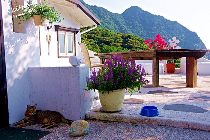 IMGP6665.JPG IMGP6665.JPG