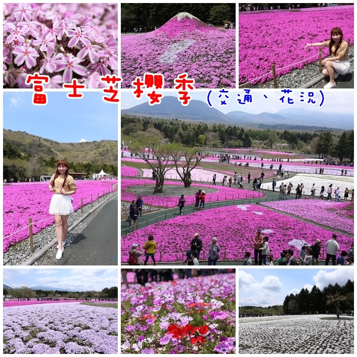 富士芝櫻祭 富士芝櫻祭