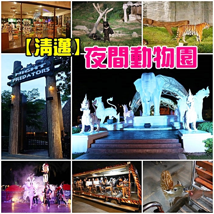 清邁夜間動物園 清邁夜間動物園