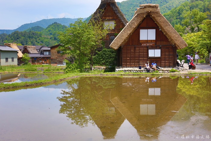 2I2A3198.JPG 2I2A3198.JPG