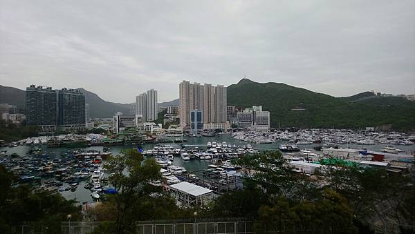 DSC_4903.jpg DSC_4903.jpg