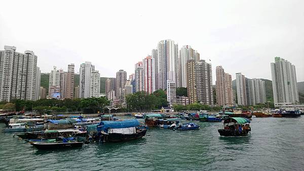 DSC_4959.jpg DSC_4959.jpg