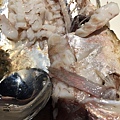 IMG_8919.JPG