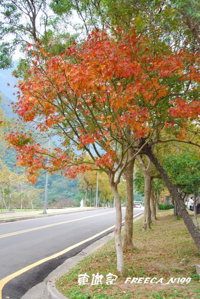太魯閣管理處