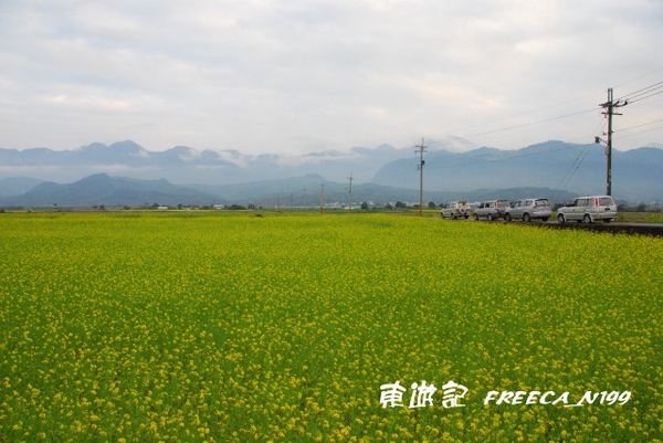 花東花海_玉里