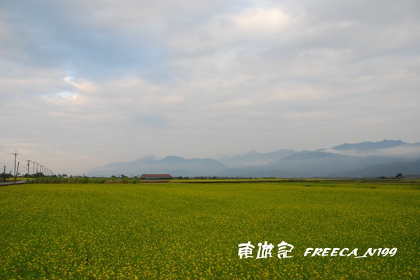 花東花海_玉里