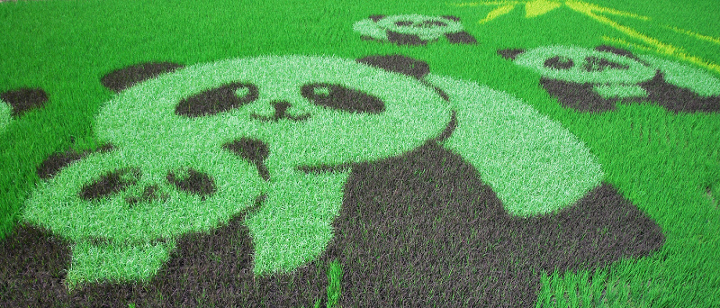 nEO_IMG_20.jpg nEO_IMG_20.jpg
