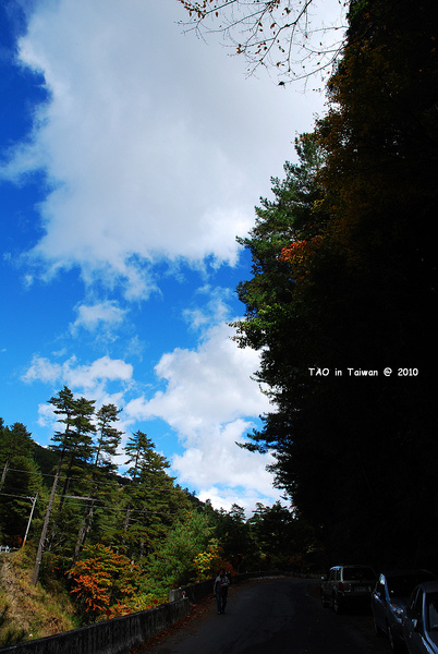 nEO_IMG_DSC_7174.jpg nEO_IMG_DSC_7174.jpg