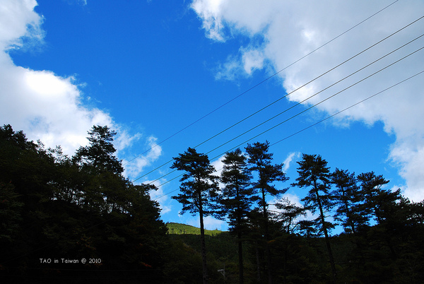 nEO_IMG_DSC_7197.jpg nEO_IMG_DSC_7197.jpg