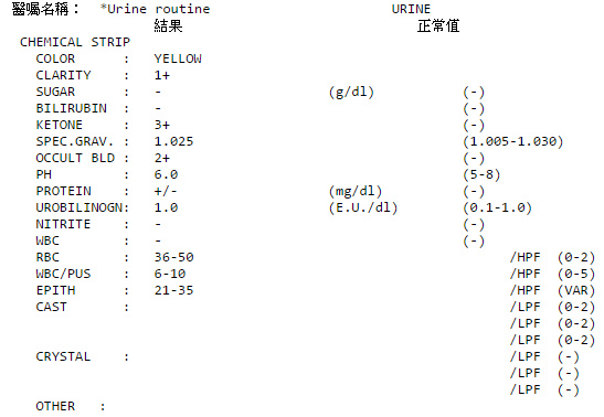 Urine routine UTI 25254102