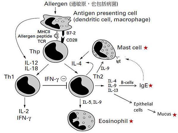 Allergy and asthma