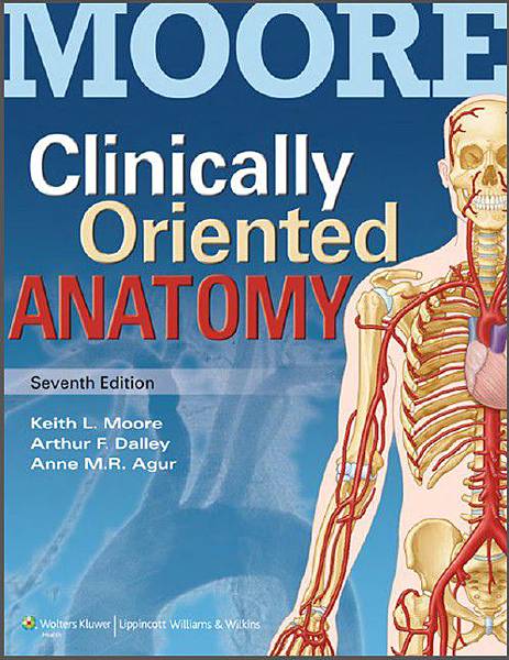 Clinically-oriented-anatomy-moore-1