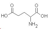 Glutamate 1