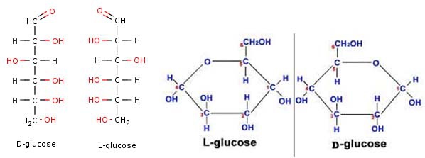 D L Glucose 2