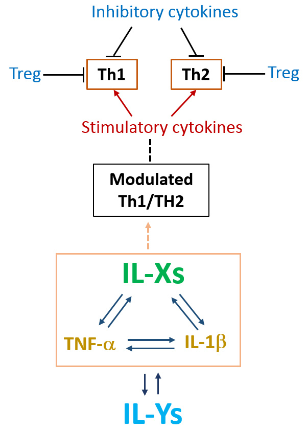 IL-X--IL-Y