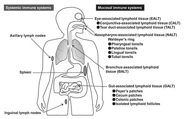 Re: [問題] 醫護人員被逼打第三劑疫苗該如何處理？