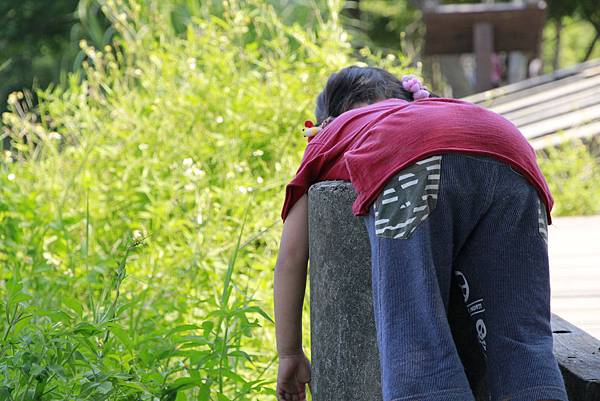 _MG_4235.JPG _MG_4235.JPG