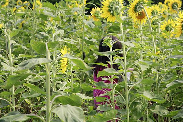 _MG_6899.JPG _MG_6899.JPG