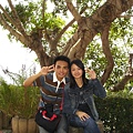 DSC00729_1