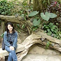 DSC00746