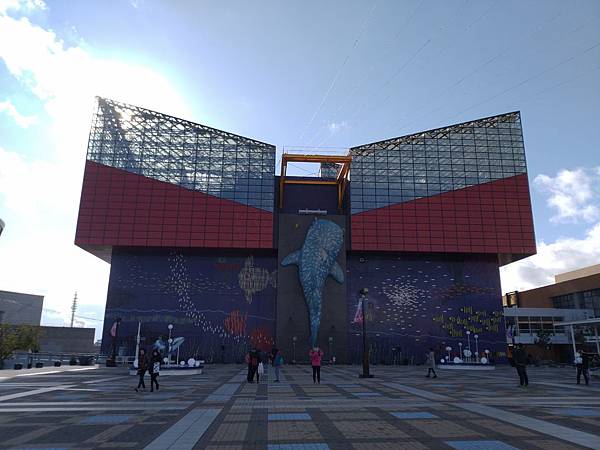 IMG_20181212_134824.jpg IMG_20181212_134824.jpg