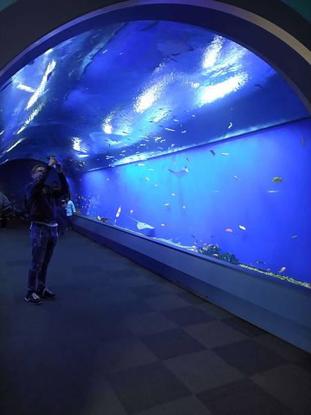 IMG_20181212_140444.jpg IMG_20181212_140444.jpg