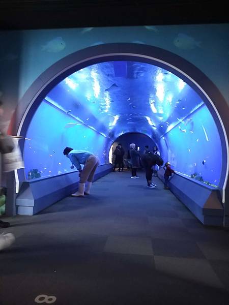 IMG_20181212_140632.jpg IMG_20181212_140632.jpg