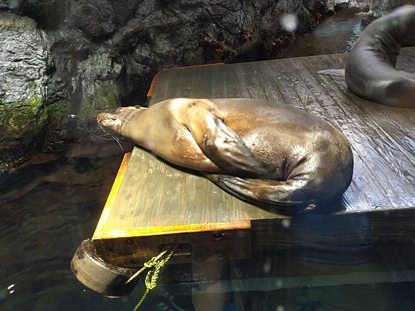 IMG_20181212_142541.jpg IMG_20181212_142541.jpg